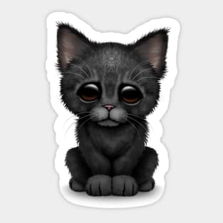 Cute Black Kitten Cat Sticker